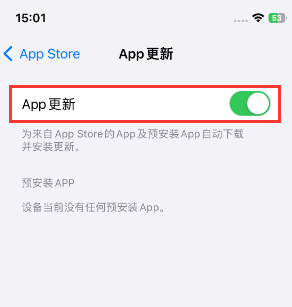 永州苹果15维修中心如何让iPhone15APP自动更新