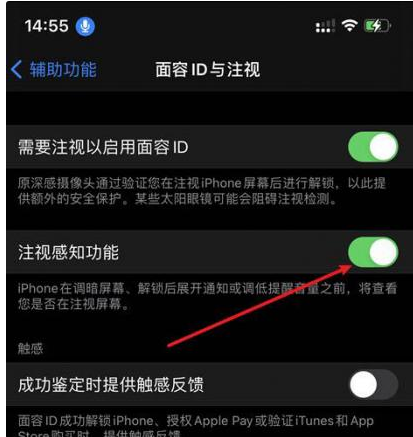 永州苹果14维修网点分享iPhone14注视感知功能有什么用 