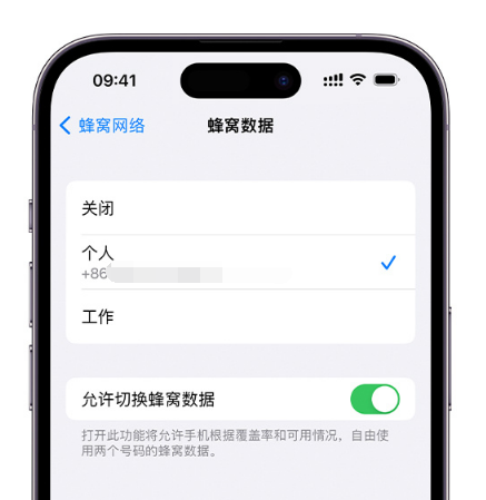 永州苹果维修服务分享如何在iPhone上使用双卡 